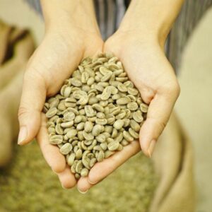 CÀ PHÊ NHÂN SỐNG ARABICA