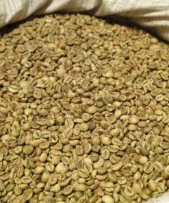 CÀ PHÊ NHÂN SỐNG ROBUSTA