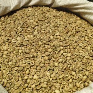 CÀ PHÊ NHÂN SỐNG ROBUSTA