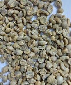 ARABICA GREEN COFFEE BEAN