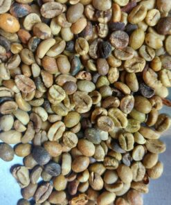 ROBUSTA GREEN COFFEE BEAN