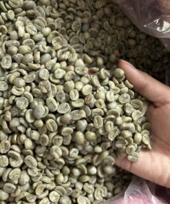CÀ PHÊ CHỒN NHÂN XANH ĐẶC BIỆT - Ảnh 3